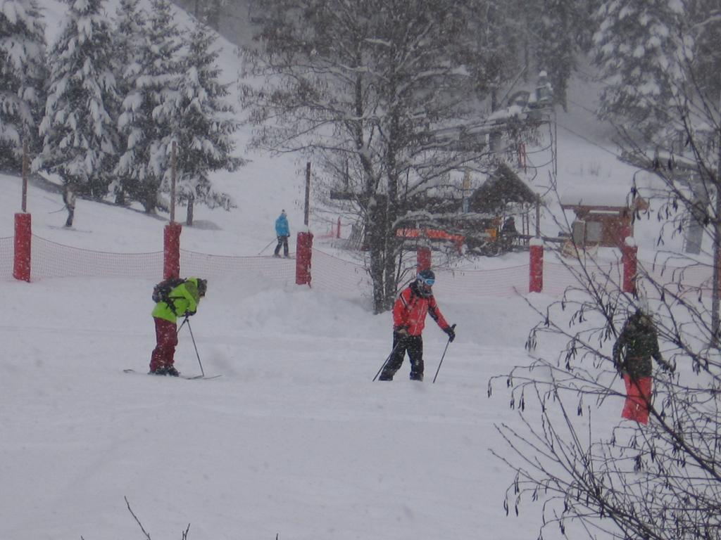 Chalet Jonquille لي جيه الغرفة الصورة