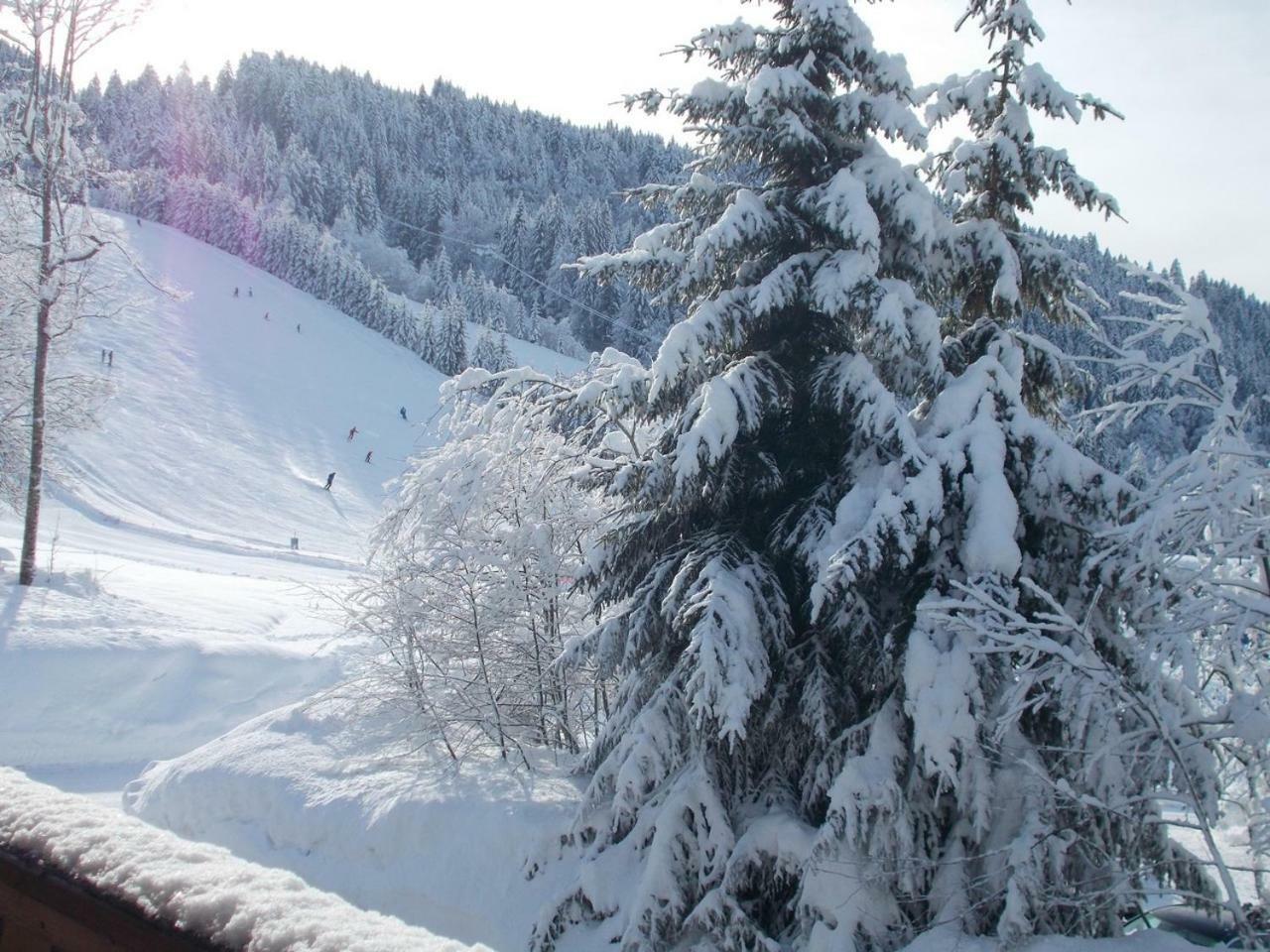 Chalet Jonquille لي جيه المظهر الخارجي الصورة