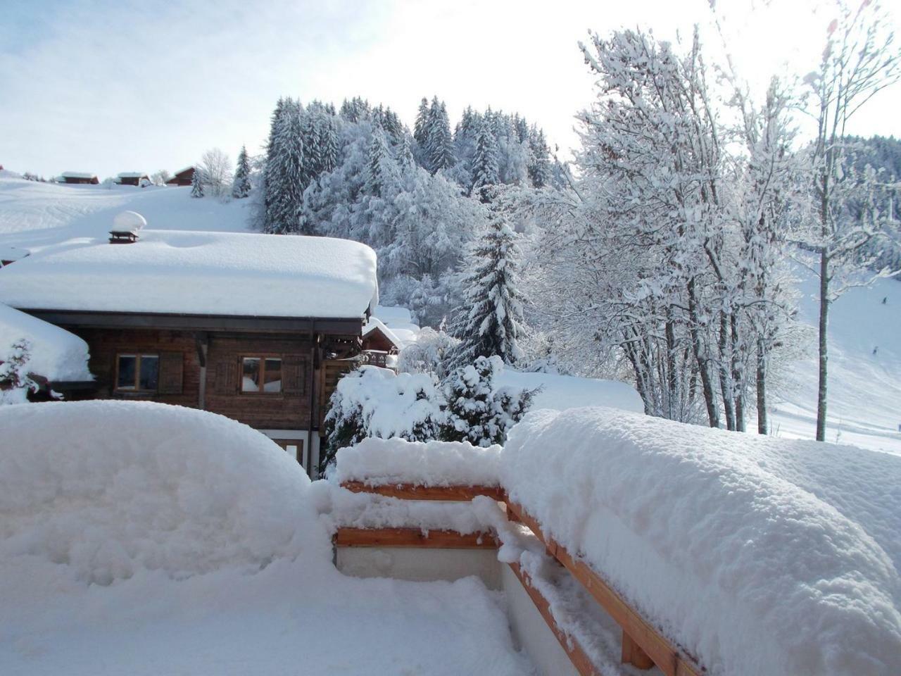 Chalet Jonquille لي جيه المظهر الخارجي الصورة