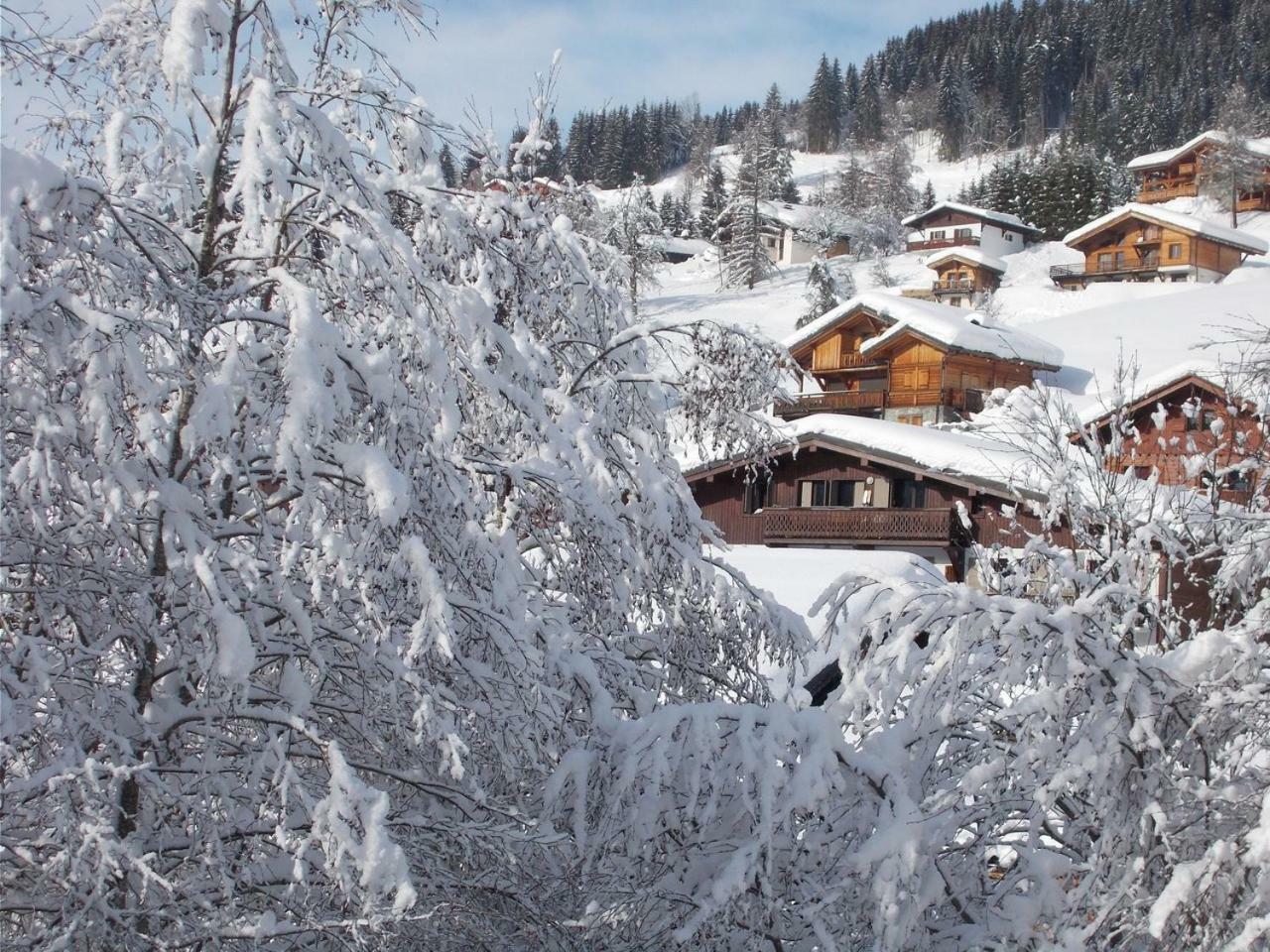 Chalet Jonquille لي جيه المظهر الخارجي الصورة